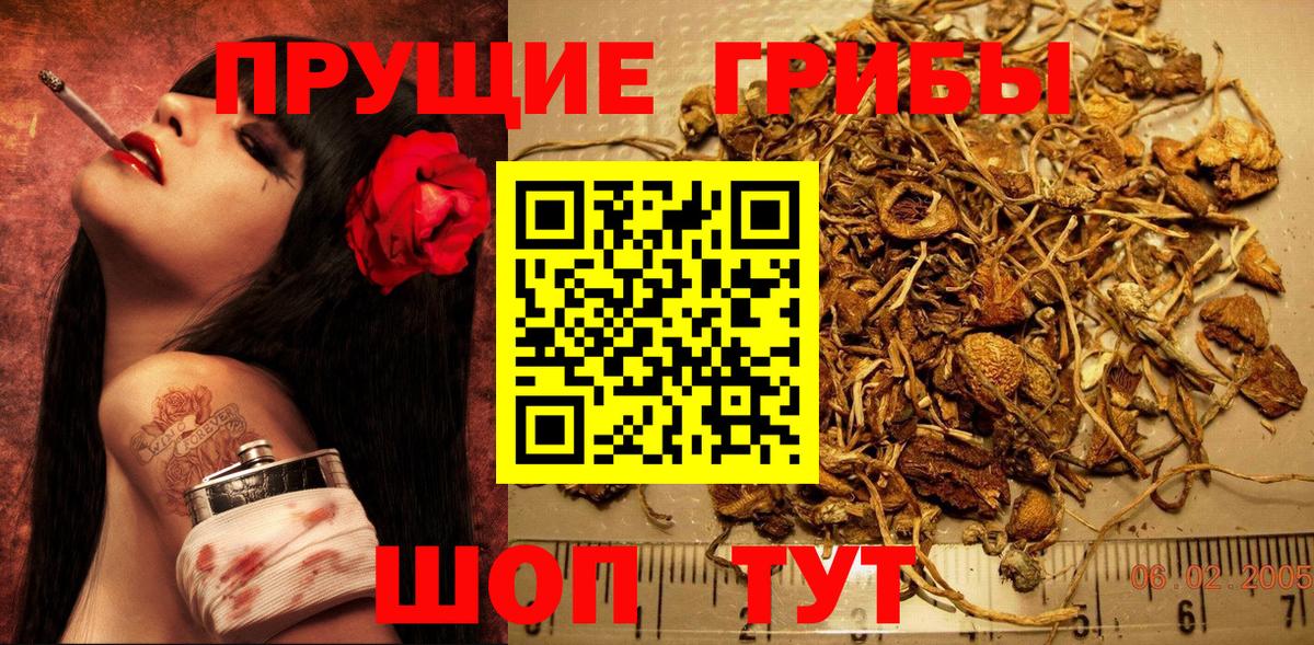 Фрязино  Галлюциногенные грибы Psilocybine cubensis  Псилоцибиновые грибы Psilocybine cubensis  Вход с VPN 