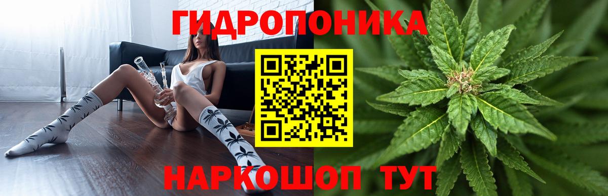 Канабис планчик  Каннабис Ganja  МАРИХУАНА тримм  Бошки марихуана SATIVA & INDICA  Вход с VPN  Фрязино 
